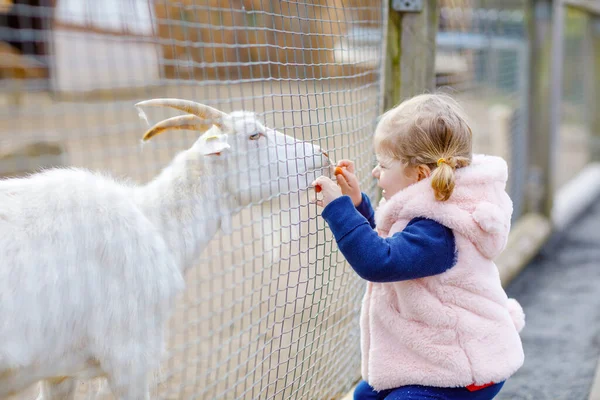 Roztomilé roztomilé batole dívka krmení malé kozy a ovce na dětské farmě. Krásné dítě mazlí zvířata v zoo. Nadšený a šťastný dívka o rodinném víkendu. — Stock fotografie