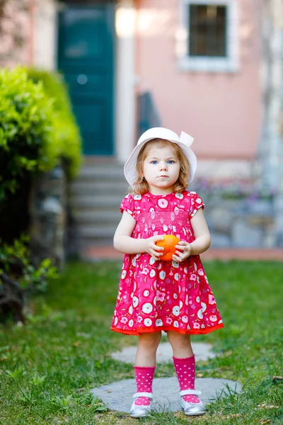 Retrato de bela menina pequena gorgeus adorável criança em rosa verão olhar roupas, vestido de moda, meias de joelho e chapéu. Criança bebê saudável feliz na frente da casa colorida segurando laranja nas mãos — Fotografia de Stock