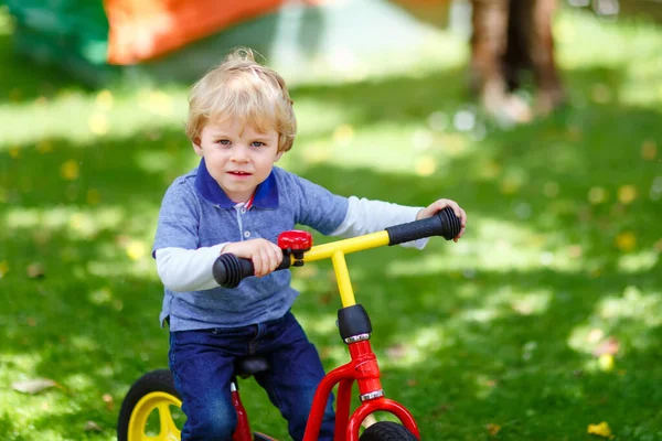 Active blond kid boy in colorful clothes driving balance and learners bike or bicycle in domestic garden. Toddler child dreaming and having fun on warm summer day. outdoors movement game for children — Stock Photo, Image