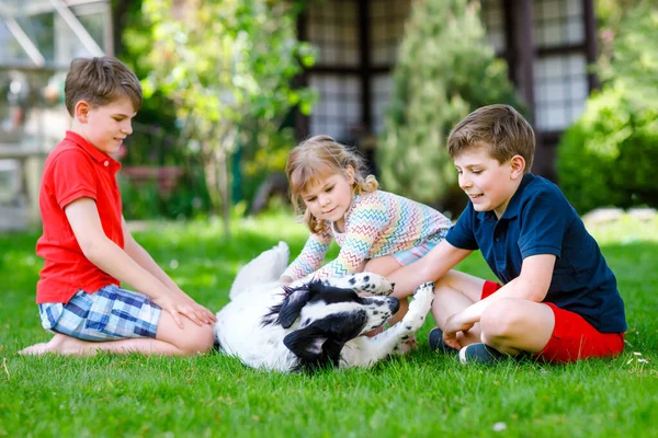 Deux enfants garçons et une petite fille jouant avec un chien de famille dans le jardin. Trois enfants, adorables frères et sœurs qui s'amusent avec le chien. Joyeux famille à l'extérieur. Amitié entre animaux et enfants — Photo