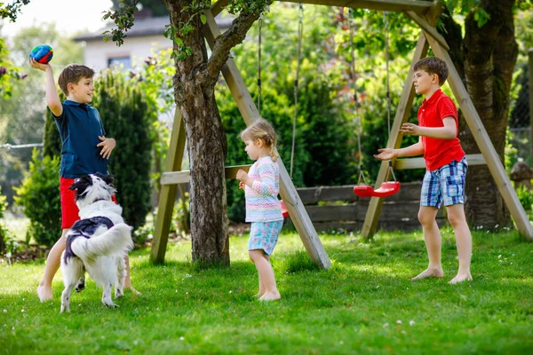 İki çocuk oğlan ve küçük kız bahçede aile köpeğiyle oynuyorlar. Üç çocuk, sevimli kardeşler köpekle eğleniyorlar. Dışarıda mutlu bir aile. Hayvanlar ve çocuklar arasındaki arkadaşlık. — Stok fotoğraf