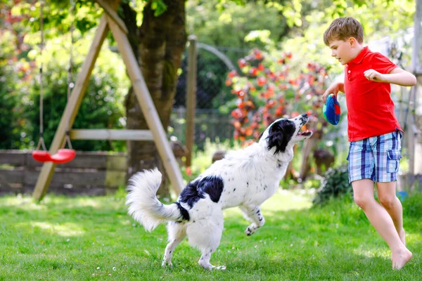 Petit garçon actif jouant avec un chien de famille dans le jardin. Rire d'écolier s'amuser avec le chien, courir et jouer avec le ballon. Joyeux famille à l'extérieur. Amitié entre animaux et enfants — Photo
