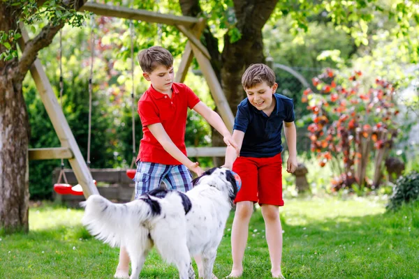 Deux enfants garçons jouant avec un chien de famille dans le jardin. Des enfants qui rient, des frères et sœurs adorables qui s'amusent avec le chien, qui courent et qui jouent avec la balle. Joyeux famille à l'extérieur. Amitié entre animaux et enfants — Photo