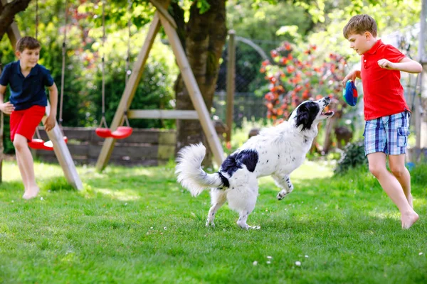 Dva kluci si hrají s rodinným psem na zahradě. Smějící se děti, roztomilí sourozenci se baví se psem, běhají a hrají si s míčem. Šťastná rodina venku. Přátelství mezi zvířaty a dětmi — Stock fotografie