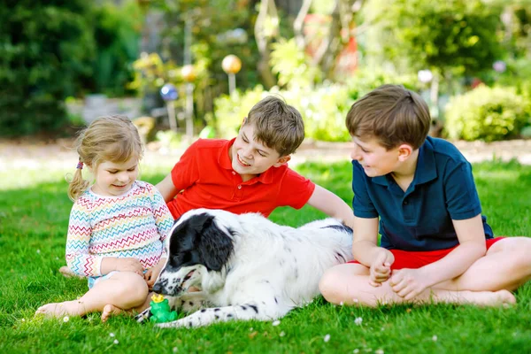 Deux enfants garçons et une petite fille jouant avec un chien de famille dans le jardin. Trois enfants, adorables frères et sœurs qui s'amusent avec le chien. Joyeux famille à l'extérieur. Amitié entre animaux et enfants — Photo