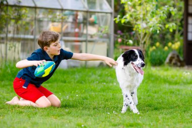 Aktif çocuk bahçede aile köpeğiyle oynuyor. Gülen okul çocuğu köpekle eğleniyor, koşuyor ve topla oynuyor. Dışarıda mutlu bir aile. Hayvanlar ve çocuklar arasındaki arkadaşlık.