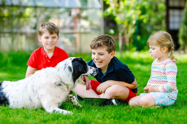 Deux enfants garçons et une petite fille jouant avec un chien de famille dans le jardin. Trois enfants, adorables frères et sœurs qui s'amusent avec le chien. Joyeux famille à l'extérieur. Amitié entre animaux et enfants — Photo
