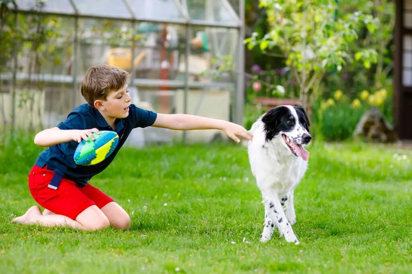 Rapaz activo a brincar com o cão da família no jardim. Criança da escola rindo se divertindo com o cão, correndo e brincando com a bola. Feliz família ao ar livre. Amizade entre animais e crianças — Fotografia de Stock
