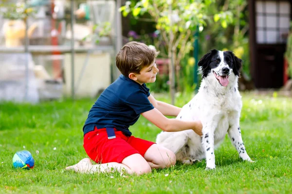 Aktywny chłopiec bawiący się z psem w ogrodzie. Śmiejące się dziecko szkolne bawiące się z psem, biegające i grające piłką. Szczęśliwa rodzina na świeżym powietrzu. Przyjaźń między zwierzętami a dziećmi — Zdjęcie stockowe
