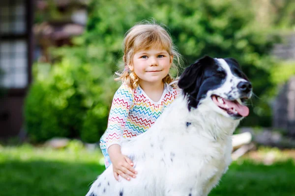 Mignon petit tout-petit fille jouer avec chien de famille dans le jardin. Joyeux enfant souriant s'amuser avec le chien, embrasser jouer avec la balle. Joyeux famille à l'extérieur. Amitié entre animaux et enfants — Photo