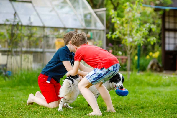 Two kids boys playing with family dog in garden. Laughing children, adorable siblings having fun with dog, with running and playing with ball. Happy family outdoors. Friendship between animal and kids — Stock Photo, Image