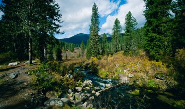 Ergaki Doğa Koruma Alanından manzara fotoğrafları