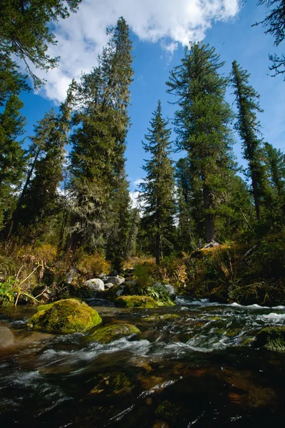 Ergaki Doğa Koruma Alanından manzara fotoğrafları