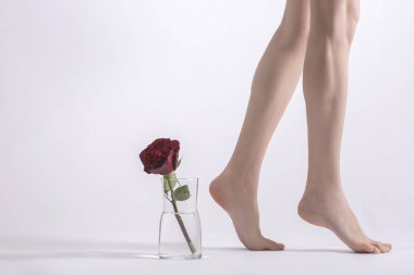 Güzel çıplak kadın bacakları ve kırmızı gül