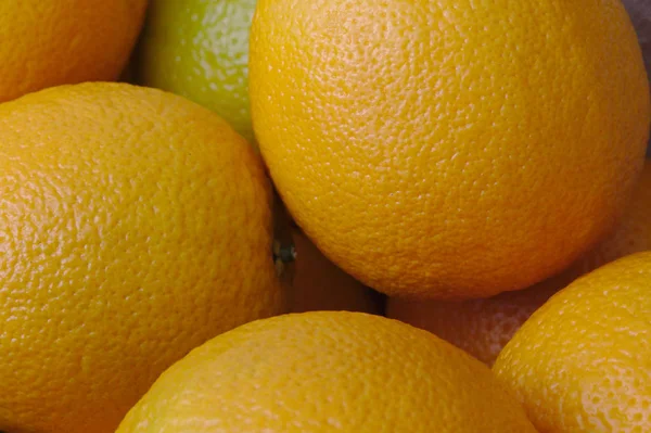 Set of oranges — Stock Photo, Image