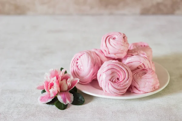 Beautiful Delicious Dessert Pink Zephyr White Plate Pink Flower Berry — Stock Photo, Image