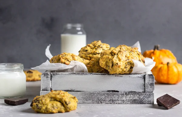 Freshly baked pumpkin cookies with oatmeal and chocolate chips. Healthy snack for breakfast. Fall pumpkin cookies.