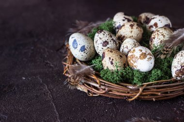 Alternatif Paskalya arka planı koyu kahverengi taşlı arka planda küçük yuva ve bıldırcın yumurtaları. Çevre dostu Paskalya, sıfır atık..