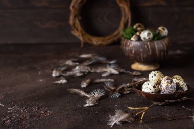 Alternatif Paskalya arka planı koyu kahverengi taşlı arka planda küçük yuva ve bıldırcın yumurtaları. Çevre dostu Paskalya, sıfır atık..