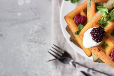 Beyaz tabakta ev yapımı Belçika waffle 'ı, donmuş böğürtlen, nane ve doğal Yunan yoğurdu, açık gri taşlı arka plan.. 