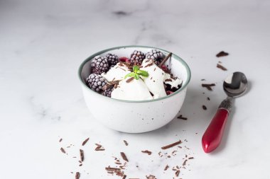 Donmuş ahududu, böğürtlen, çikolata ve naneli vanilyalı dondurma seramik kasede, açık gri arka plan.