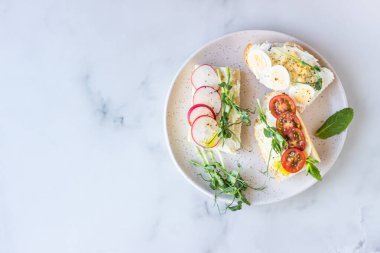 Krem peynirli, bıldırcın yumurtalı, domatesli, turplu ve mikro yeşili seramik tabakta, açık gri arka planda. Sağlıklı atıştırmalıklar. Üst görünüm. 