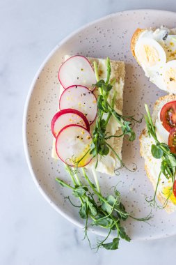 Krem peynirli, bıldırcın yumurtalı, domatesli, turplu ve mikro yeşili seramik tabakta, açık gri arka planda. Sağlıklı atıştırmalıklar. Üst görünüm. 