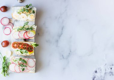 Açık gri arka planda bıldırcın yumurtalı, domatesli, turplu ve mikro yeşili olan çeşitli sandviçler. Parti başlangıcı ya da aperatif. Düz konum.