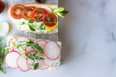 Açık gri arka planda bıldırcın yumurtalı, domatesli, turplu ve mikro yeşili olan çeşitli sandviçler. Parti başlangıcı ya da aperatif. Düz konum.