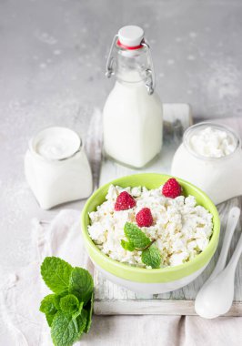 Ahududu ve naneli, ekşi kremalı ve sütlü organik çiftlik peyniri. Organik süt ürünleri ile sağlıklı gıda kavramı.