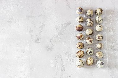 Açık gri beton arka planda şeffaf plastik bir kapta bıldırcın yumurtaları. Doğal organik bıldırcın yumurtaları. Seçici odak.