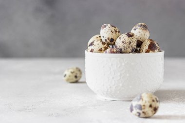 Beyaz seramik kasede bıldırcın yumurtası, açık gri taş arka plan.