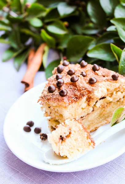 Piece of traditional american coffee cake with brown sugar, cinnamon, chocolate chips or drops on a dessert plate, selective focus. Easter cake. Homemade cake. Macro food photography.