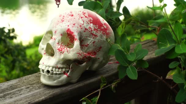 外の血の頭蓋骨 — ストック動画