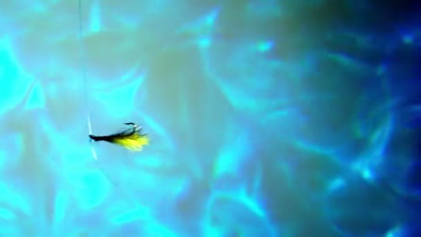 Рибальський Гачок Воді Приманкою — стокове відео