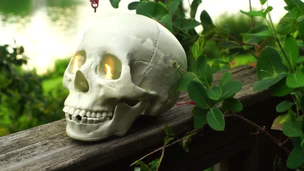 Ürpertici Gözlü Dışında Sihirli Kafatası — Stok video