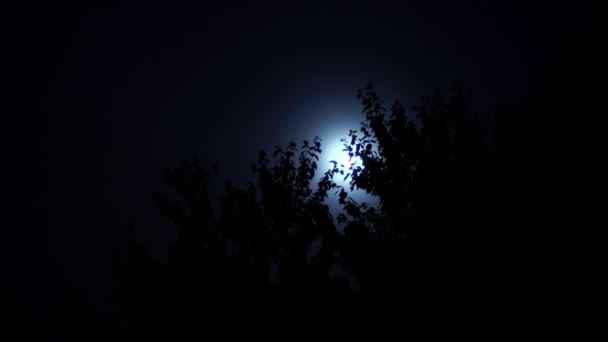 Nuages nocturnes et lune 