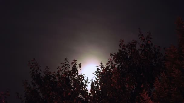 Σύννεφα Ώρα Βράδυ Και Φεγγάρι — Αρχείο Βίντεο