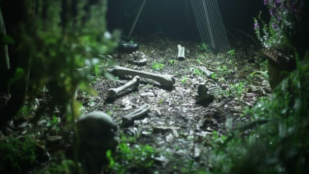 警察在树林里检查骷髅 — 图库视频影像