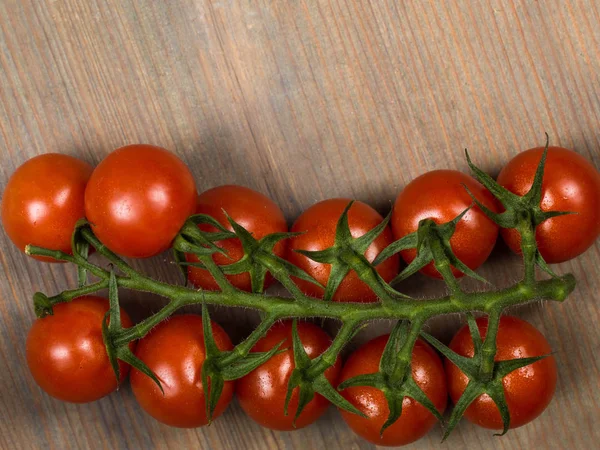 Winorośli uprawiane pomidory cherry — Zdjęcie stockowe