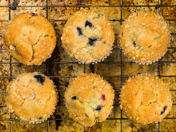 Gebackene Muffins aus Blaubeeren und Preiselbeeren — Stockfoto