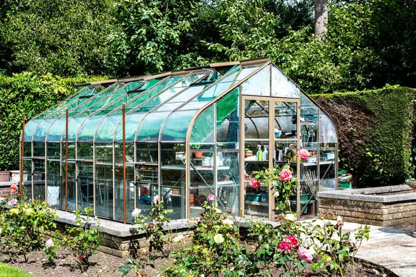 Tuin groen huis omringd door Rose struiken en heggen — Stockfoto