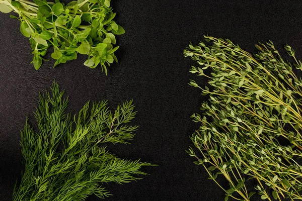 Selection of Fresh Herbs Basil Dill and Thyme — Stock Photo, Image