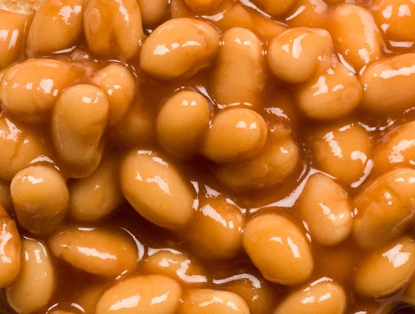 Pečené fazole na toastu — Stock fotografie