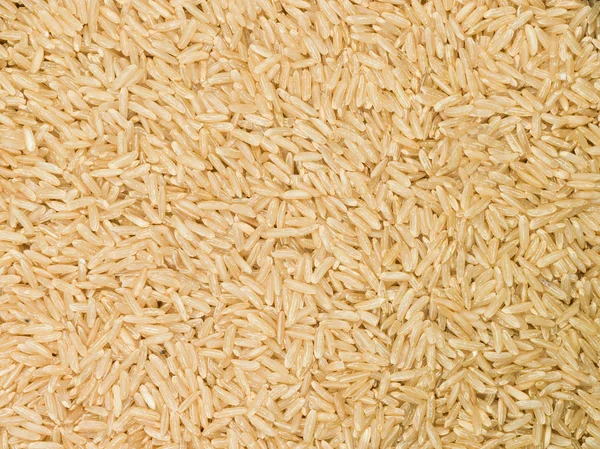 Riz brun à grains entiers — Photo