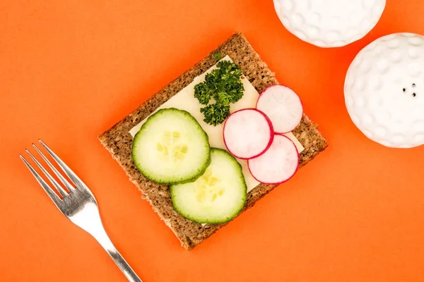 Sandwich de pan de centeno de cara abierta de queso y pepino con rábanos — Foto de Stock