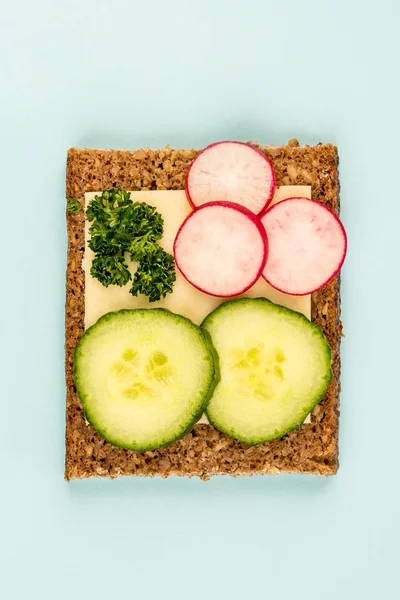 Cheese and Cucumber Open Face Rye Bread Sandwich With Radishes — Stock Photo, Image