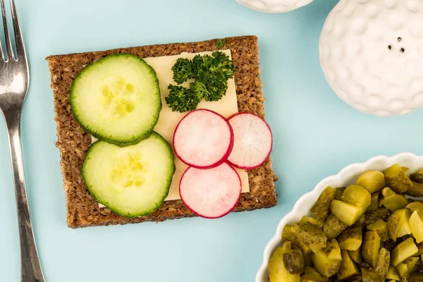 Sandwich de pan de centeno de cara abierta de queso y pepino con rábanos — Foto de Stock