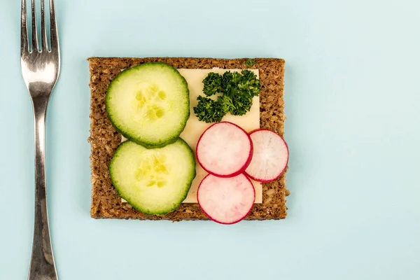 Sandwich de pan de centeno de cara abierta de queso y pepino con rábanos — Foto de Stock