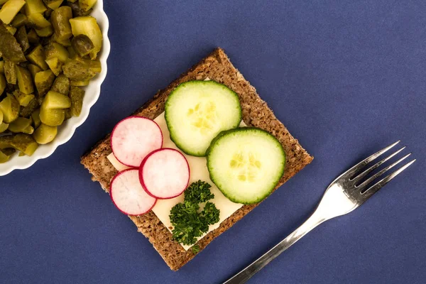 Cheese and Cucumber Open Face Rye Bread Sandwich With Radishes — Stock Photo, Image